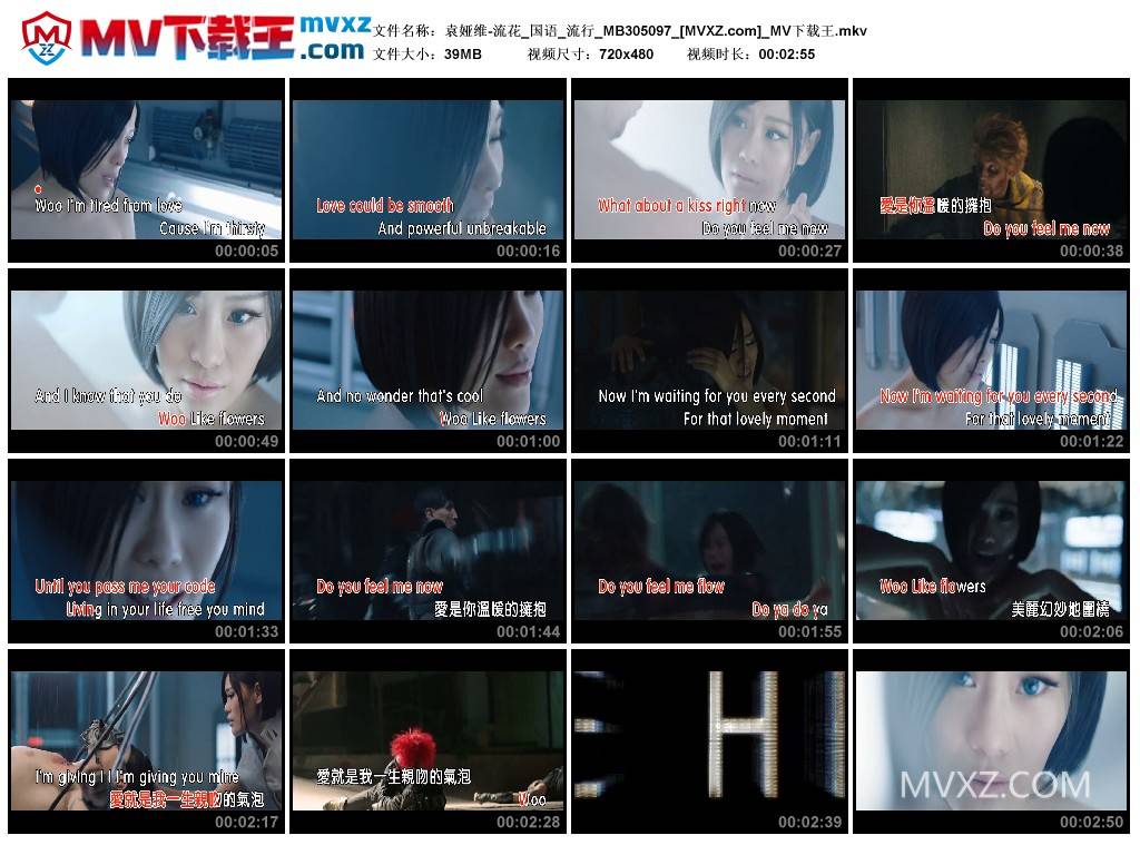 袁娅维-流花_国语_流行_MB305097